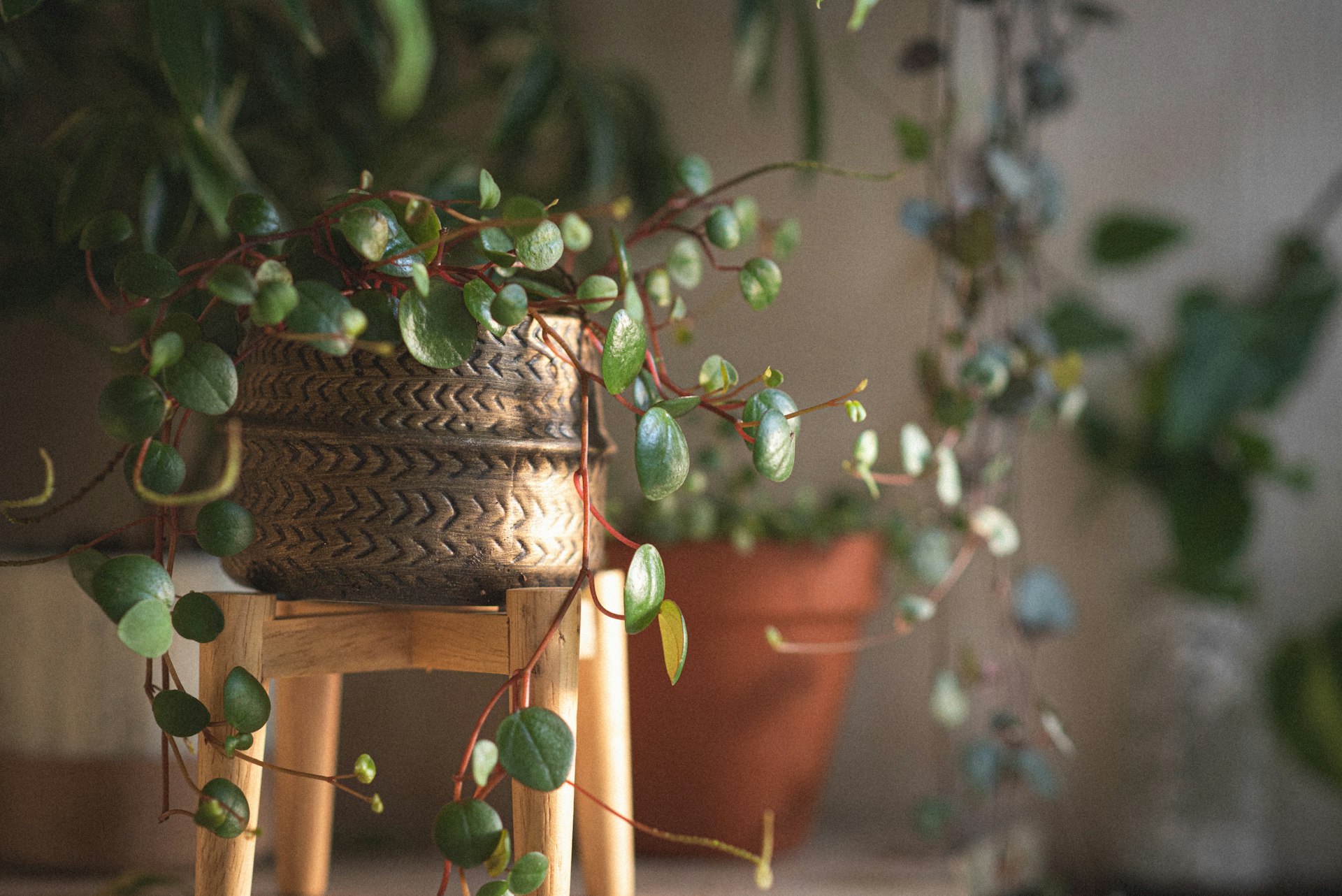 a birdhouse on a tree